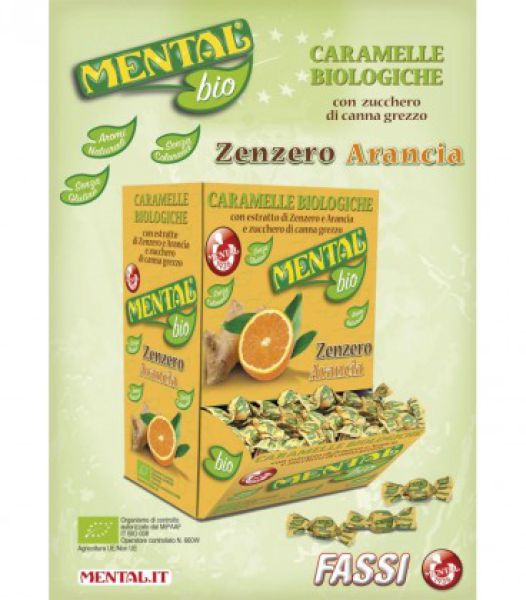 MENTAL BIO ZENZERO/ARANCIA GR.750 P188